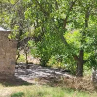 زمین باغ دلفارد