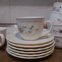 آرکوپال ویکتوریا|ظروف سرو و پذیرایی|تهران, علم و صنعت|دیوار