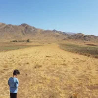 زمین کشاورزی دیم قولنامه