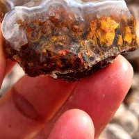 عقیق شجر سه قلعه خراسان|جواهرات|رفسنجان, |دیوار