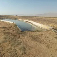 اجاره زمین زراعی برای کاشت سیر