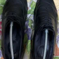 کفش مجلسی نوین چرم|کیف، کفش، کمربند|اصفهان, بوستان زاینده رود|دیوار