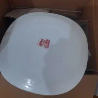 آکروپال دینو|ظروف سرو و پذیرایی|محمدیه-قزوین, |دیوار