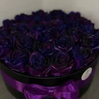 باکس گل کهکشانی