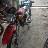 احسان شکاری