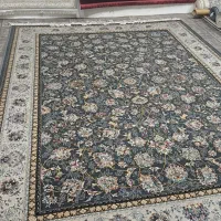 گالری فرش واعظی|فرش|صائین قلعه, |دیوار