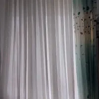 دو عدد والون