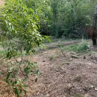 زمین در فشم اهار|فروش زمین و ملک کلنگی|تهران, نارمک جنوبی|دیوار