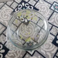 سوپ خوری