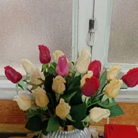 20  عدد گل رز قیمت ۲۰۰ تومن