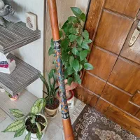 ساز دیدجریدو