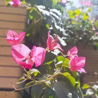 کارت بانکی سامان قاسمی پیدا شده