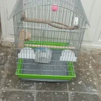 قفس پرنده|لوازم جانبی حیوانات|تهران, سیروس|دیوار