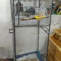 قفس پرنده فلزی