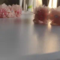 تل و کیف کمری|کیف، کفش، کمربند|محمدشهر, همایون ویلا|دیوار