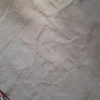 موکت سبز وطوسی