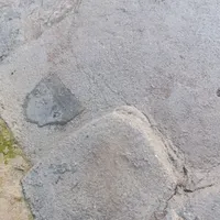 نظافت و لکه گیری ساختمان