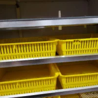 دستگاه جوجه کشی بلدرچین دماوند ۴۲۰تایی|لوازم جانبی حیوانات|گنبد کاووس, |دیوار