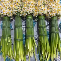 گل آرایی مجالس|خدمات پذیرایی، مراسم|ری, بازار گل خاوران|دیوار