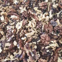 گردو آسیاب نشده  فقط ۴۵۰