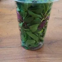 استخدام بازاریاب خانم.حضوری.مجازی|استخدام بازاریابی و فروش|تربت جام, |دیوار