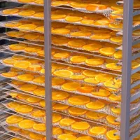 انواع خشک کن میوه و ماهی و سبزی|ماشین‌آلات صنعتی|بندرعباس, |دیوار