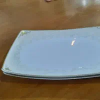 دیس ،بشقاب،کاسه ماست خوری،جاسسی