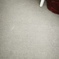 موکت پرز بلند پالاز|موکت|کرج, حیدرآباد|دیوار