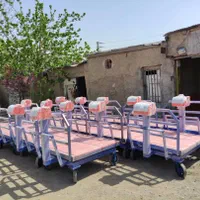 باسکول بزرگ میدان تره بار دو و سه تن|فروشگاه و مغازه|اصفهان, دشتستان|دیوار