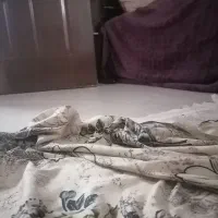 اجاره-واحد-بزرگ-لوکس