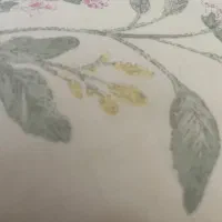 پرستار سالمند