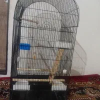 قفس بزرگ کاملاً نو نو