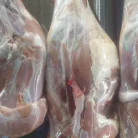 گوشت گوسفند تازه سردست و ران با تحویل روزانه|خوردنی و آشامیدنی|مشهد, گاز|دیوار