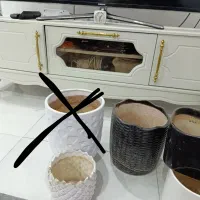 گلدان|گل و گیاه طبیعی|اهواز, کوی باهنر|دیوار