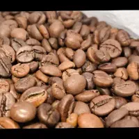 رستری قهوه عمده پخش پودریجات|عمدهفروشی|تهران, سیروس|دیوار