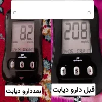 گیاهی قندتو 100٪ مهار کن|خوردنی و آشامیدنی|قم, گلزار|دیوار