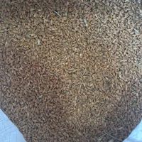 روستای عوده سفلی‌جاده‌ی‌امیدیه ‌ماشهر نوزده‌مایل