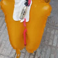 جلیقه نجات|غواصی و ورزش‌های آبی|کرمانشاه, |دیوار