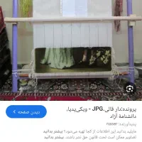 دار قالی 2×۱۲۰