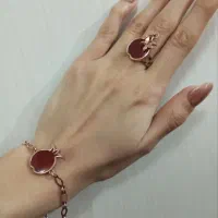 سرویس انار یلدایی مسی درمان کم خونی|بدلیجات|قم, نیروگاه|دیوار
