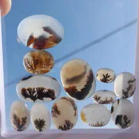 کلکسیون عتیقه سنگ انگشتر شجر های معدنی شیشه ای