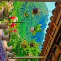 اجاره روزانه/هفتگی/ماهانه سالانه ۱۵۰متری|اجارهٔ کوتاه‌مدت ویلا و باغ|ماسال, |دیوار