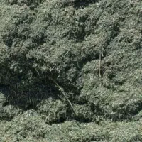 یونجه پرس