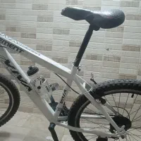 دوچرخه ویوا دسته دو