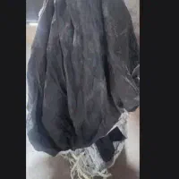 چادر ماشین سالم