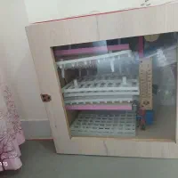 دستگاه جوجه کشی