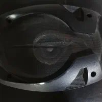 پایونر اصلی