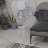 پنکه سالم