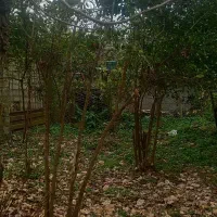 رهن-واجاره-زمین-براصلی-خیابان