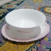 تعدادی ظرف ارکوپال گل الیز فرانسوی